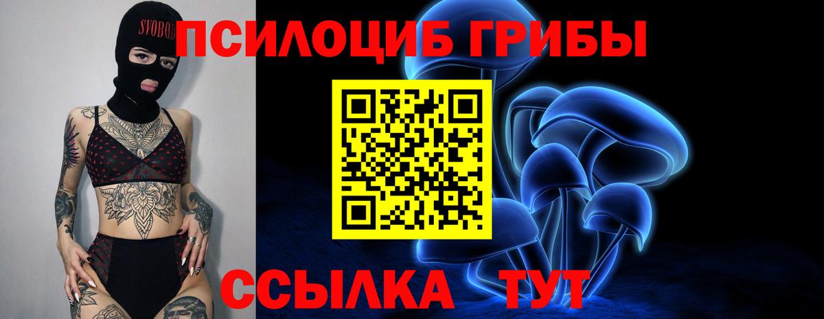 Санкт-Петербург  Галлюциногенные грибы ЛСД  Вход с VPN 
